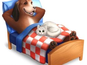 1aa Hundehotel Pohlmeyer Walsrode