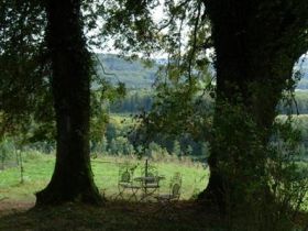 Hundepension Zaubermöndli