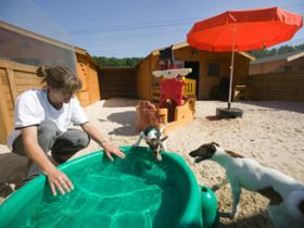 Tierpension Bettina Kersebohm