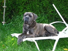 Alkasar v.d. Liebssphaere