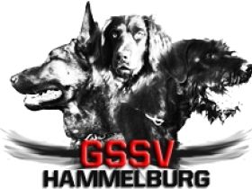 GSSV Hammelburg e.V.