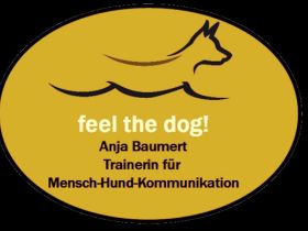 FEEL THE DOG! - Mensch-Hund-Kommunikation
