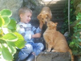 Appartementhaus Linter -Südtirol