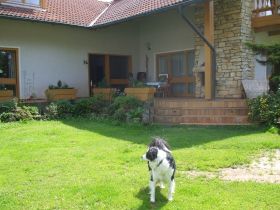 Hundumadum-Barbara Fischer