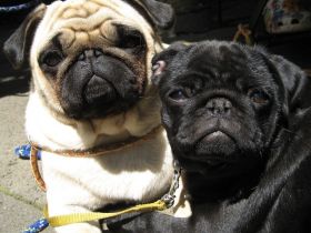 Zum Alten Zechenturm