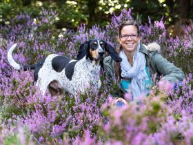 Hundeschule Voelkersweiler