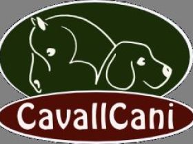 CAVALLCANI Tierphysiotherapie für Pferd und Hund