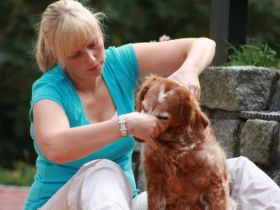 Hand-und-Hund Praxis für Hundeosteopathie/ Physiotherapie