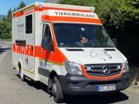 Tierambulanz der Tierheilpraxis Christian Ergenzinger