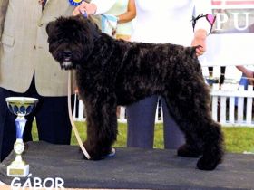 de la Colline Verte Dijon