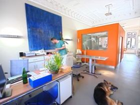 Hamburg: Tiermedizin am Rothenbaum