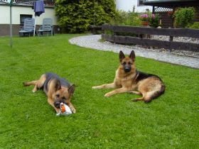 vom Oschatzer Kleinforst