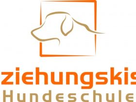 Beziehungskiste Hundeschule