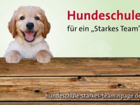 Hundeschule für ein "Starkes Team"