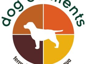 dogelements® - Die Hundeschule