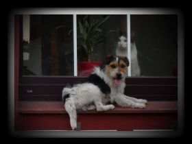 von der Wanheimer-Russellbande