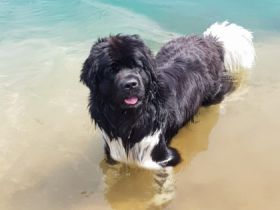 vom Störtebeker Siel