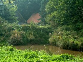 Aussies & Friends- Hundepension Marburg