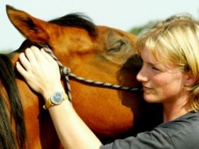 Pferdeosteopathie Kristina Pressler