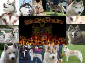 of Carinthian Fire Inside