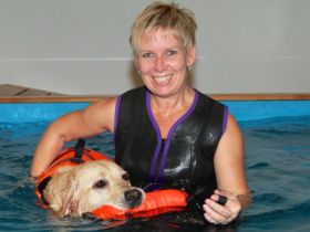 fitter dog Zentrum für Hundephysiotherapie und Hundeschwimmen