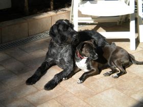 Haus Seemuschel Grömitz