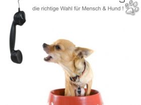 Hundestube Hamburg