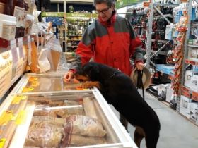 vom Segeberger Forst