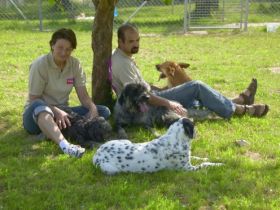 World of Animals 4 Pfoten Resort