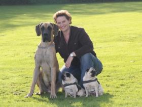 Jennys Mobile Hundeschule