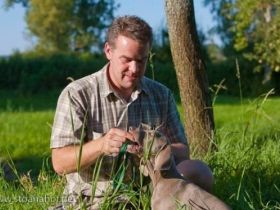 Hundeschule - Dettmer