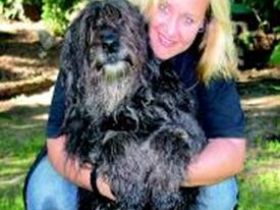 Hundeschule HundeArt