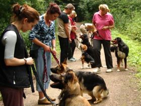 Hundeschule Kersebohm