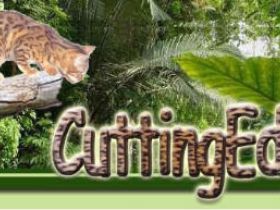 CuttingEdge