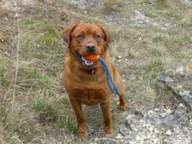 DJ von der Holzmühle