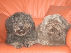 Paradies im Taubertal