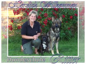 HUNDESCHULE RITTER