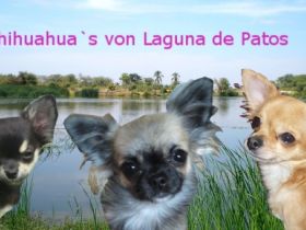 von Laguna de Patos