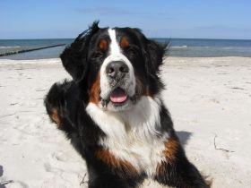 von der Falkenauer-Aue