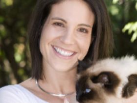 Tierheilpraxis Schuster