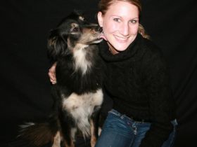 Hundezentrum elCanis