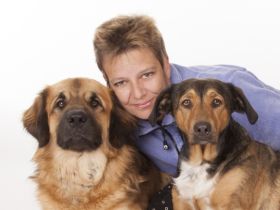 Hundeschule im Vierpfotenhotel