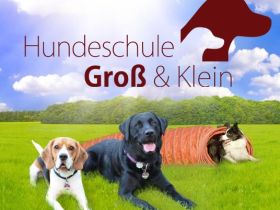 Hundeschule Groß und Klein