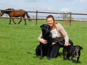 tierisch in balance - Praxis für ganzheitliche Tierheilkunde-