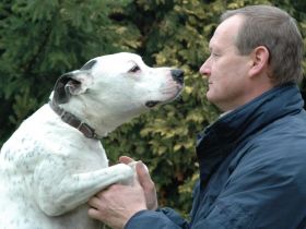 Tierpension Niederau