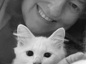 Naturheilkunde für Tiere