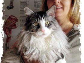 Naturheilkunde für Tiere