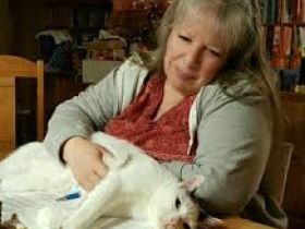 Natürlich-Sanft Klassisch-Homöopathische Tierheilpraxis und natürliche Sterbebegleitung -Beate-Betti