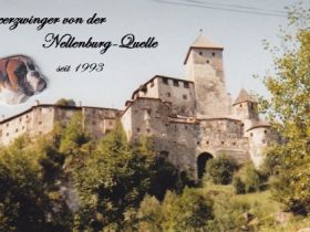 von der Nellenburg-Quelle