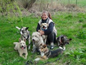 THERAPEUTISCHE HUNDESCHULE FÜR ANGSTHUNDE